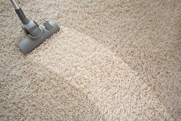  Carpet Cleaning Boston – Fresh, Clean & Revitalized 